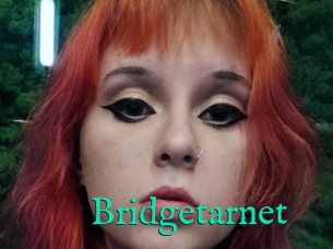 Bridgetarnet