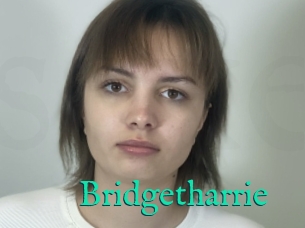 Bridgetharrie