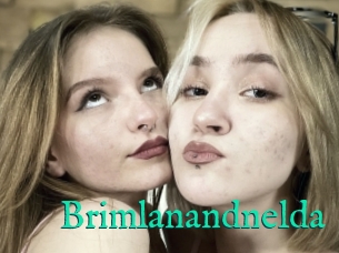 Brimlanandnelda