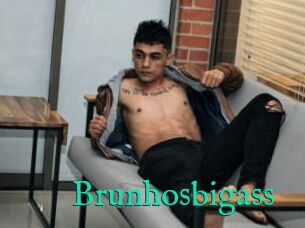 Brunhosbigass