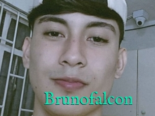 Brunofalcon