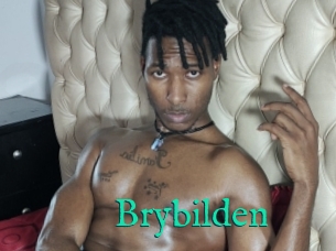 Brybilden