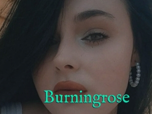 Burningrose