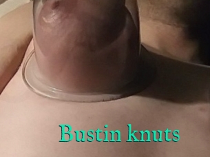 Bustin_knuts