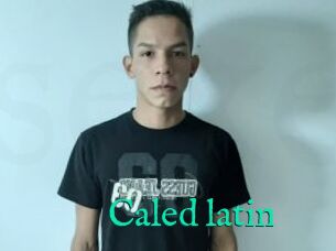 Caled_latin