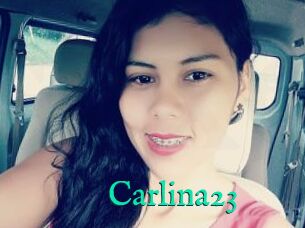 Carlina23