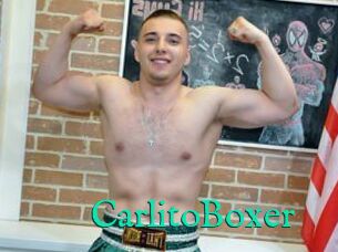 CarlitoBoxer