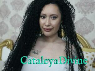 CataleyaDivine