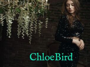 ChloeBird