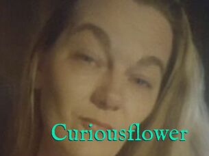 Curiousflower