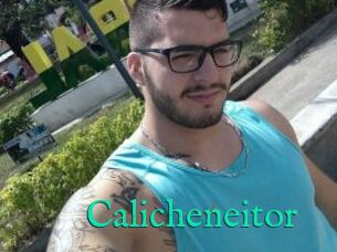 Calicheneitor