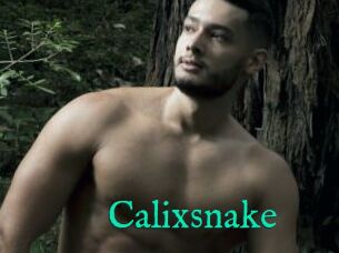 Calixsnake