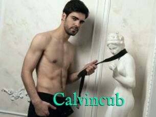 Calvincub