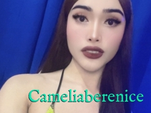 Cameliaberenice