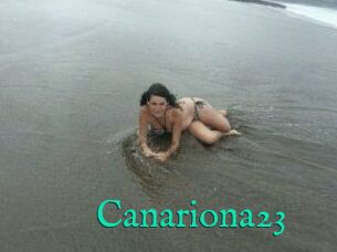 Canariona23