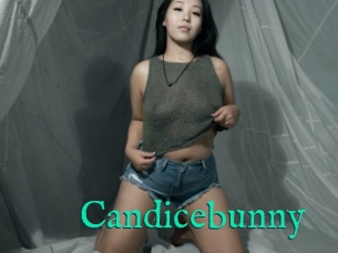 Candicebunny