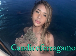 Candiceferragamo