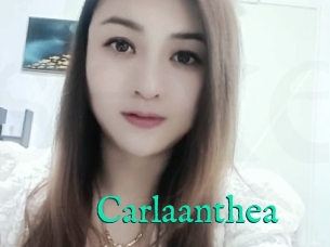 Carlaanthea