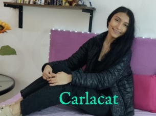 Carlacat