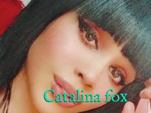 Catalina_fox