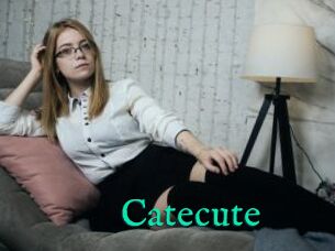 Catecute