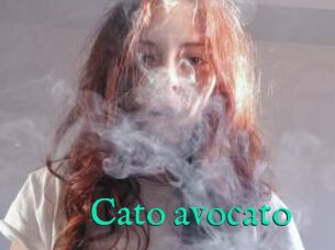 Cato_avocato