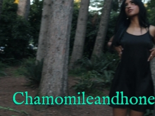 Chamomileandhoney