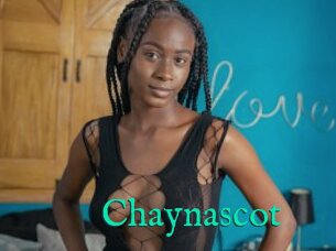 Chaynascot