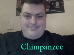 Chimpanzee