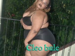 Cleo_bule