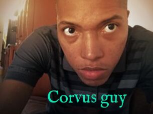 Corvus_guy