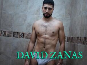 DAVID_ZANAS