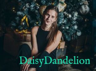 DaisyDandelion