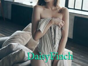 DaisyFinch