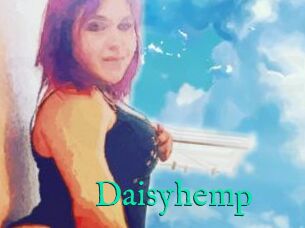 Daisy_hemp