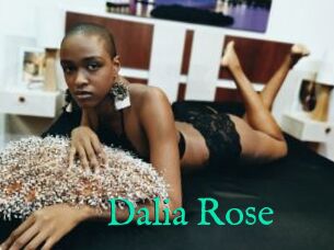 Dalia_Rose