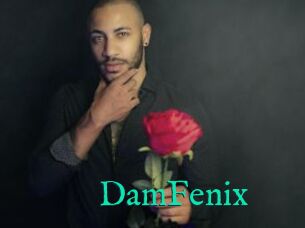 DamFenix