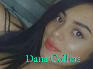 Dana_Collins