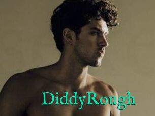 DiddyRough