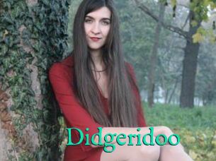 Didgeridoo