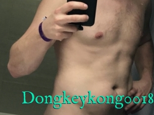 Dongkeykong0018