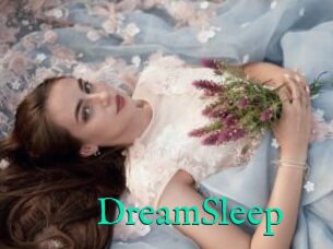 DreamSleep