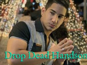 Drop_Dead_Handsome