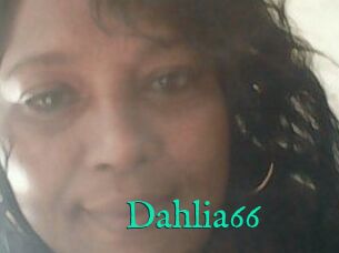 Dahlia66