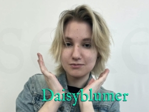 Daisyblumer