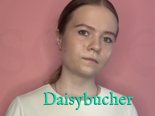 Daisybucher