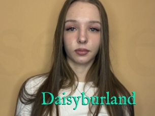 Daisyburland