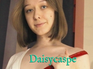 Daisycaspe