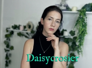 Daisycrosier