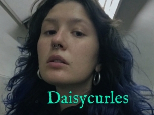 Daisycurles